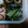 バウンド's cooksnap of when they made もやしとキュウリの胡麻和え.