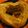 ココチャップ's cooksnap of when they made ハートのパリブレスト.