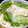 ぼってん's cooksnap of when they made 四角豆と蒸し鶏のマヨネーズあえ.