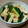 Yakkocco's cooksnap of when they made 長芋ときゅうりの梅肉和え.