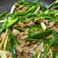 もーちゃん８２７'s cooksnap of when they made 簡単・青椒肉絲/オイスターソースで本格味.