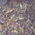 まったりのったり's cooksnap of when they made 牛肉の佃煮.