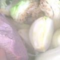 Munchkin's　Mom's cooksnap of when they made ポトフはキャベツを焼いてから.