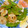 ままみん14's cooksnap of when they made エビとスナップえんどうのつゆマヨ炒め.