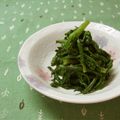 赤い電話's cooksnap of when they made 春菊のごま和え.