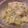 kaoriuran's cooksnap of when they made 塩麹✩蒸し鶏（シリコンスチーマー）.