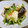 くまやっこ's cooksnap of when they made 小松菜ときのこの中華風うま煮.