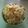 ☆Yukipi☆'s cooksnap of when they made 栗ごはん.