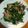 ☆結★'s cooksnap of when they made らくらく ほうれんそうソテー♪.