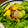 てる坊's cooksnap of when they made 柿ときゅうりのサラダ.