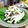 母ちゃん☆'s cooksnap of when they made 【かぶ・もずく優しい酢の物】調味料いらず.