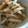 チヨコっとキッチン♪'s cooksnap of when they made 簡単 大根炒め.