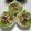 kumakkkuma's cooksnap of when they made ✿トマトと豚肉のビタミン丼✿.