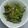 あんだしん's cooksnap of when they made 小松菜とシーチキンの炒め物.