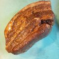 １６ぽん's cooksnap of when they made 紅茶で♪　チャーシュー.