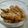 まさヒロ's cooksnap of when they made こんにゃくと丸天の甘辛煮.