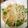 すじえXXX's cooksnap of when they made 簡単中華／酸っぱ辛いもやし炒め.