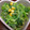 まてぽん's cooksnap of when they made いつもと違う☆ほうれん草の簡単おひたし☆.