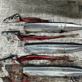 ＊＊天然水＊＊'s cooksnap of when they made 簡単！早い！きれい！秋刀魚の内臓のとり方.