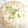 メーﾀﾝ's cooksnap of when they made 大根で一品『大根の朧（おぼろ）煮』.