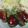 ajuri's cooksnap of when they made ふっくら☆ピーマンの肉詰め☆.