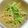 pohem's cooksnap of when they made 切り干し大根のカレーうどん風味サラダ.