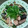 sweetbox25's cooksnap of when they made なすと鶏肉の揚げびたし(南蛮漬け風）.