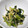 meff's cooksnap of when they made 小松菜とちりめんじゃこの炒め物.