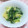 Machalin's cooksnap of when they made 水菜としらすのサッと炒め.