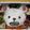 hirotofumi's cooksnap of when they made 幼稚園弁当！ﾜﾝﾋﾟｰｽ！ﾍﾞﾎﾟ★.