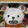 hirotofumi's cooksnap of when they made 幼稚園弁当！ﾜﾝﾋﾟｰｽ！ﾍﾞﾎﾟ★.