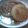 母さんがんばるよ's cooksnap of when they made 圧力鍋でしみてるトロトロ大根の肉あんかけ.
