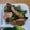ポニーリボン's cooksnap of when they made 青梗菜と魚肉ソーセージのオイマヨ炒め.