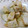ちゃぶにゃにゅー's cooksnap of when they made クレイジーソルトで　揚げさといも♪.