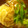 nonnorinon's cooksnap of when they made ロール白菜の和風とろみあん.