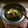 なっち船長's cooksnap of when they made きゅうりとみょうがのさっぱり和え.