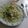 ナスくん's cooksnap of when they made ほうれん草のクリームパスタ.