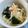 azbjbn's cooksnap of when they made 新玉ねぎとワカメのサラダ.
