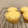 ●ゆゆゆ●'s cooksnap of when they made 翌朝もしっとりの蒸しケーキ.