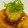 namieyume's cooksnap of when they made *かじきまぐろの生姜焼き*.
