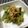 かめみや's cooksnap of when they made ゴーヤの梅塩麹和え.