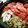 ゆゅちゃむ's cooksnap of when they made すき焼きの割り下.