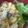 ぽろりんぬぅ's cooksnap of when they made かぼちゃと豆のサラダ.
