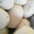 kiriri☆彡's cooksnap of when they made 里芋超簡単に剥いちゃいました！.