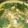 efuko♪'s cooksnap of when they made ヘルシー！牡蠣の辛鍋.
