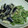 あいぱらりん's cooksnap of when they made ごま好きの為の★レンジ蒸し茄子のごま浸し.