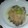 まくにゃん☆'s cooksnap of when they made 爽やか♪しめじの梅おろしあえ♪.
