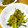 salasa109's cooksnap of when they made 手軽にもう一品！蕪の葉とじゃこの炒め物.