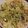 のんひよｏ○'s cooksnap of when they made お好み焼きの基本レシピ.