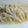 こじろうまる's cooksnap of when they made 鮭のレンジ蒸し.